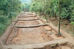 Lộ diện rõ nét con đường thiêng tại thánh địa Mỹ Sơn