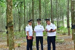 Hướng dẫn mới về bằng chứng kiểm toán