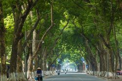 Từ 'ngạt thở' đến dễ chịu: Hà Nội đón ngày cuối tuần không khí trong lành