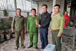 Hai cá thể khỉ quý hiếm bất ngờ xuất hiện giữa khu dân cư Quảng Trị