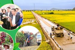 Đại hội đại biểu Hội Nông dân tỉnh Nghệ An lần thứ XI, nhiệm kỳ 2025- 2030:Nỗ lực vì khát vọng vươn lên của nông dân Nghệ An