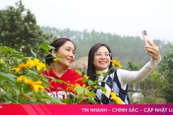 Thỏa sức check-in với đường hoa dã quỳ tại Đá Bạc Eco