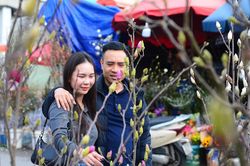Người Hà Nội 'chơi Tết sớm' với hoa mộc lan