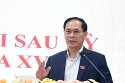 Đẩy mạnh ngoại giao kinh tế, công nghệ, khí hậu phục vụ phát triển đất nước