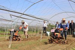 Cầu nối hỗ trợ hợp tác xã