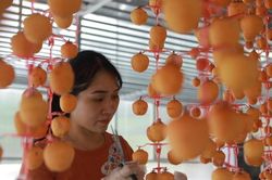 Việt Nam sắp có trung tâm đổi mới sáng tạo về nông nghiệp thông minh tại Lạng Sơn