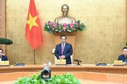 Nỗ lực xử lý dứt điểm tình trạng khai thác IUU
