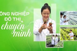 Nông nghiệp đô thị chuyển mình