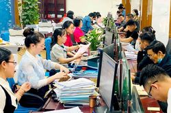 Từ 1/7/2026, viên chức có thể được tuyển dụng theo hình thức tiếp nhận