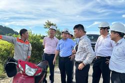 Tập đoàn điện lực Việt Nam có tân Phó Tổng giám đốc