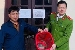 Phát hiện động vật quý hiếm trong Sách đỏ tại... chợ ở Hà Tĩnh