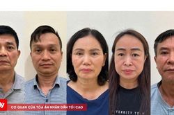 Đề nghị truy tố cựu Cục trưởng Cục An toàn thực phẩm trong vụ nhận hối lộ đặc biệt nghiêm trọng