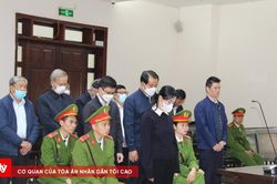 Xét xử phúc thẩm vụ Tập đoàn Phúc Sơn: Luật sư đề nghị cho bị cáo được hưởng chính sách khoan hồng đặc biệt