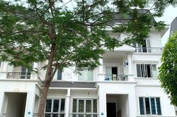 Chủ nhà cho thuê dưới ngưỡng chịu thuế vẫn phải kê khai