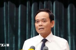 Bí thư Thành ủy TP Hồ Chí Minh: Kiến nghị của cử tri sẽ được xem xét, trả lời