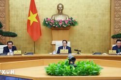 Thủ tướng chủ trì Phiên họp lần thứ 26 của BCĐ chống khai thác hải sản bất hợp pháp