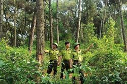 Hạt Kiểm lâm Hà Trung nỗ lực giữ rừng
