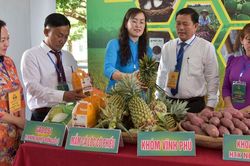 Phát huy sức mạnh nông dân trong giai đoạn mới