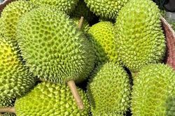 Giá sầu riêng hôm nay 16/12/2025: Duy trì ổn định giữa tháng 12