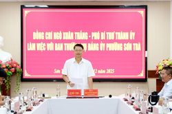 Phường Sơn Trà cần tập trung chăm lo Tết cho người dân, không để ai bị bỏ lại phía sau