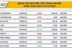 Giá ca cao lao dốc hơn 6% do nguồn cung cải thiện