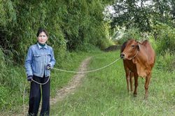 Điểm tựa sinh kế hộ nghèo, cận nghèo ở Hàm Kiệm