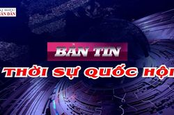 Bản tin Thời sự Quốc hội ngày 16/12/2025