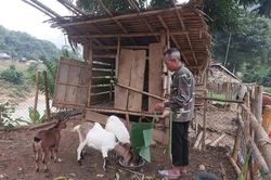 Tạo sinh kế bền vững cho hộ nghèo ở Nam Xuân