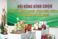 Tăng sức cạnh tranh cho sản phẩm công nghiệp nông thôn Đà Nẵng