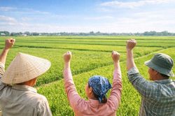 Đề xuất giảm tiền sử dụng đất khi chuyển đổi đất vườn sang đất ở