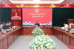 Đẩy mạnh chính sách nhà ở và phát triển thị trường bất động sản