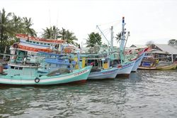 Phú Quốc: Không cho 519 tàu cá đi khai thác hải sản