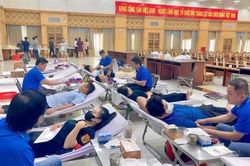 Phấn đấu năm 2026 có 1,9% dân số tham gia hiến máu cứu người