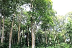 Thời tiết Nghệ An ngày 18/12: Sáng sớm có mưa nhỏ vài nơi, đêm trời rét