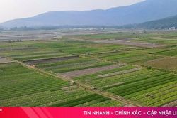 Can Lộc nâng cao giá trị sản phẩm nông nghiệp