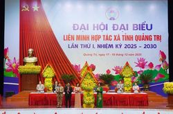 Đột phá tư duy từ HTX 'hỗ trợ hộ' sang HTX dẫn dắt, cạnh tranh và hợp tác theo chuỗi giá trị
