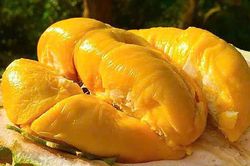 Giá sầu riêng hôm nay 19/12: Sầu Thái tăng lên 88.000 đồng/kg