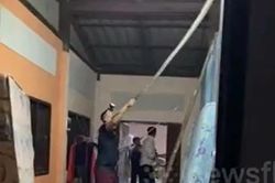 'Ớn lạnh' trước màn truy bắt rắn hổ mang chúa dài 3,3 mét trên trần nhà