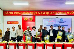 Liên hiệp các tổ chức hữu nghị Thành phố Đà Nẵng hỗ trợ người dân vùng lũ