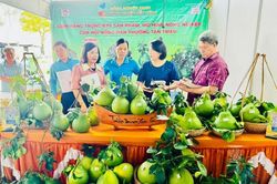 Đồng Nai ban hành kế hoạch phát triển cây ăn quả và cây công nghiệp chủ lực giai đoạn 2025-2030