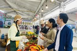 Đưa nông sản xứ Thanh tham gia sâu vào các chuỗi giá trị