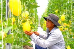 Khoa học công nghệ là chìa khóa để HTX bứt phá