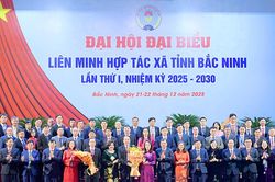 Bắc Ninh phấn đấu có 70% HTX được hỗ trợ ứng dụng công nghệ thông tin, chuyển đổi số