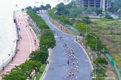 Mở đăng ký cuộc thi Marathon quốc tế Đà Nẵng 2026