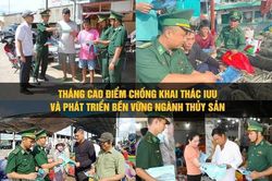 Cà Mau tạo chuyển biến toàn diện trong chống khai thác IUU