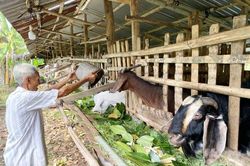 Phát triển nông nghiệp bền vững bắt đầu từ sự kết hợp thông minh