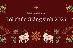 100+ lời chúc Giáng Sinh 2025 hay và ý nghĩa nhất