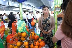 'Săn' đặc sản vùng miền tại chuỗi sự kiện OCOP thường kỳ TPHCM