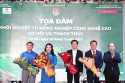 Tư duy 'làm trước, bán sau' đẩy nhiều mô hình nông nghiệp cao vào ngõ cụt