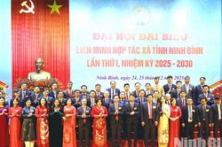 Ninh Bình đẩy mạnh đổi mới hoạt động Liên minh HTX giai đoạn 2025 - 2030